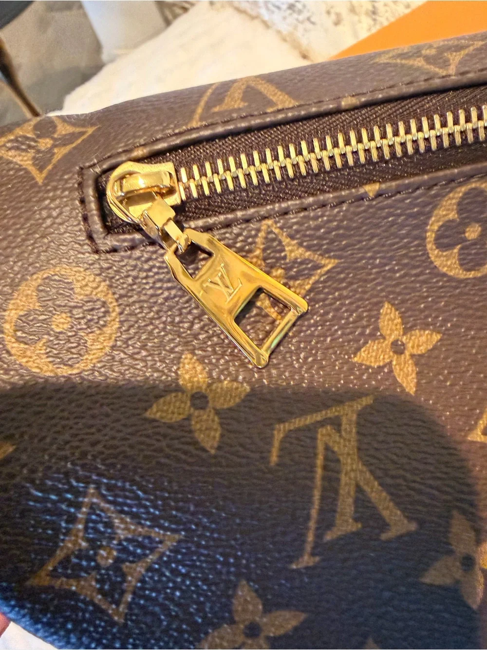 Louis Vuitton Bumbag in Monogram Canvas
